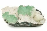 Gemmy Apophyllite Crystals with Stilbite - India #244237-1